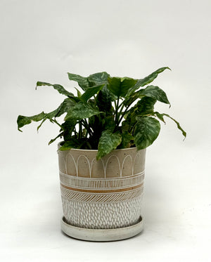 Boho rain planter - medium