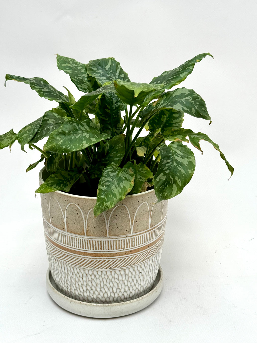Boho rain planter - medium