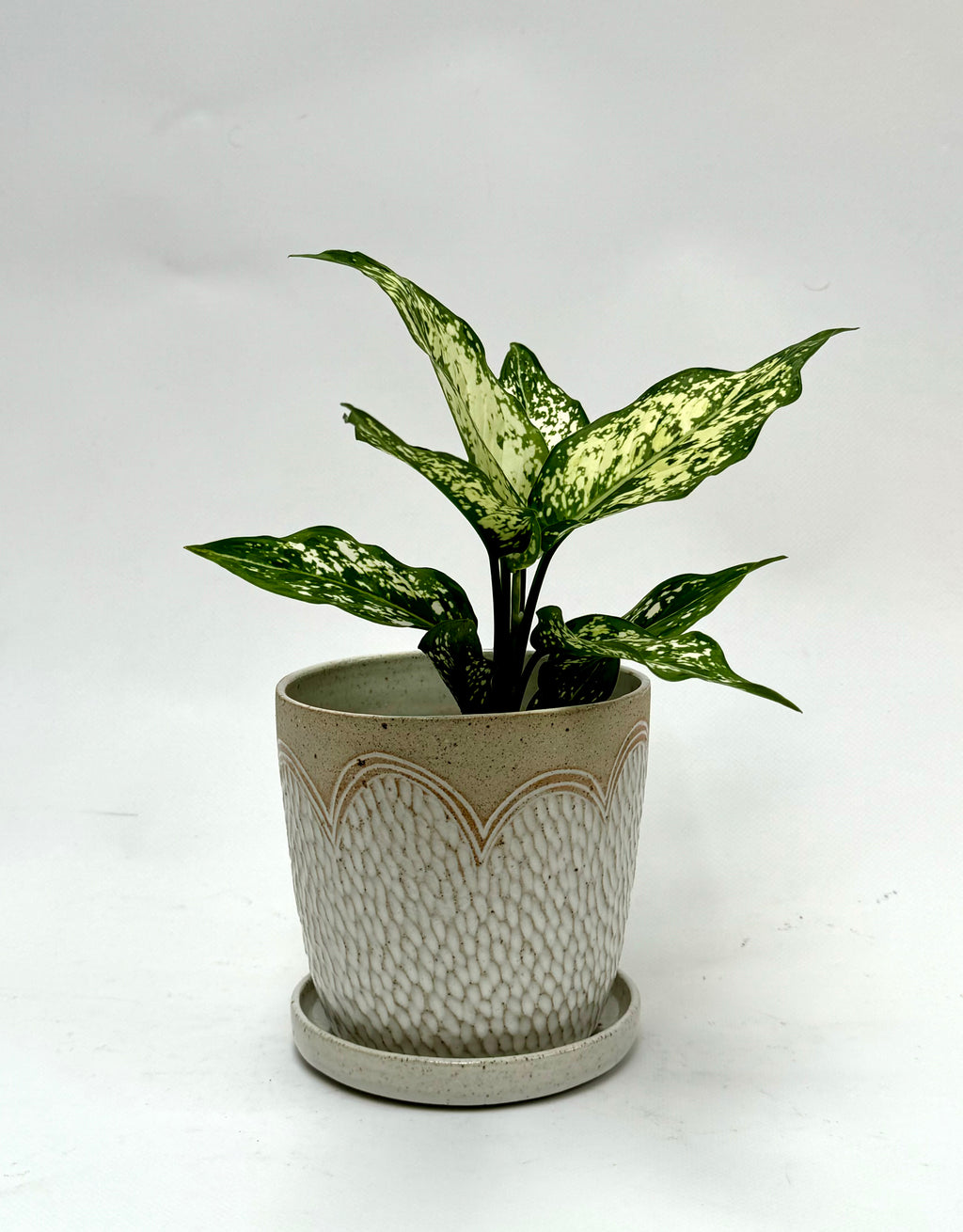 Petal small planter