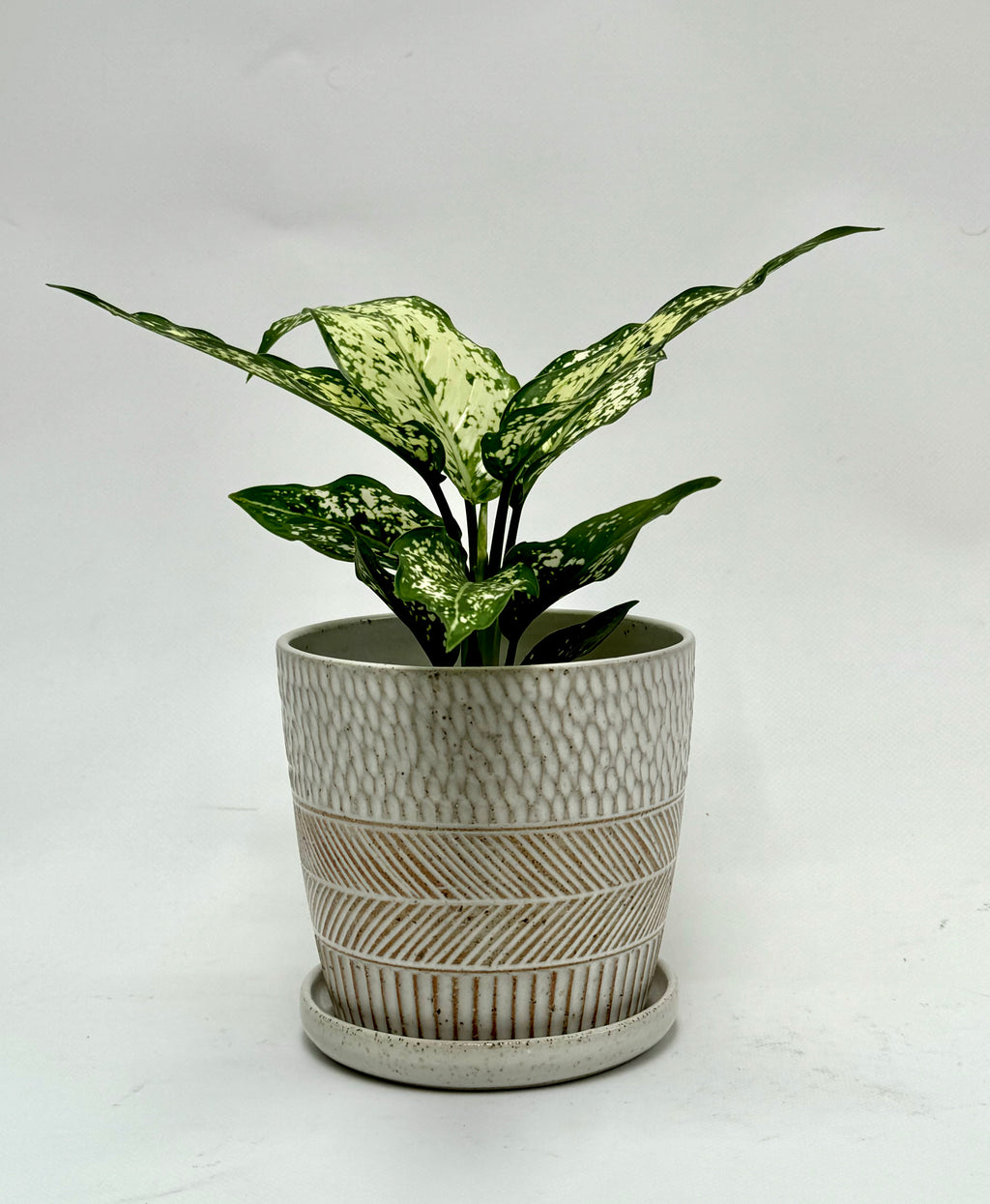 Boho raw small planter