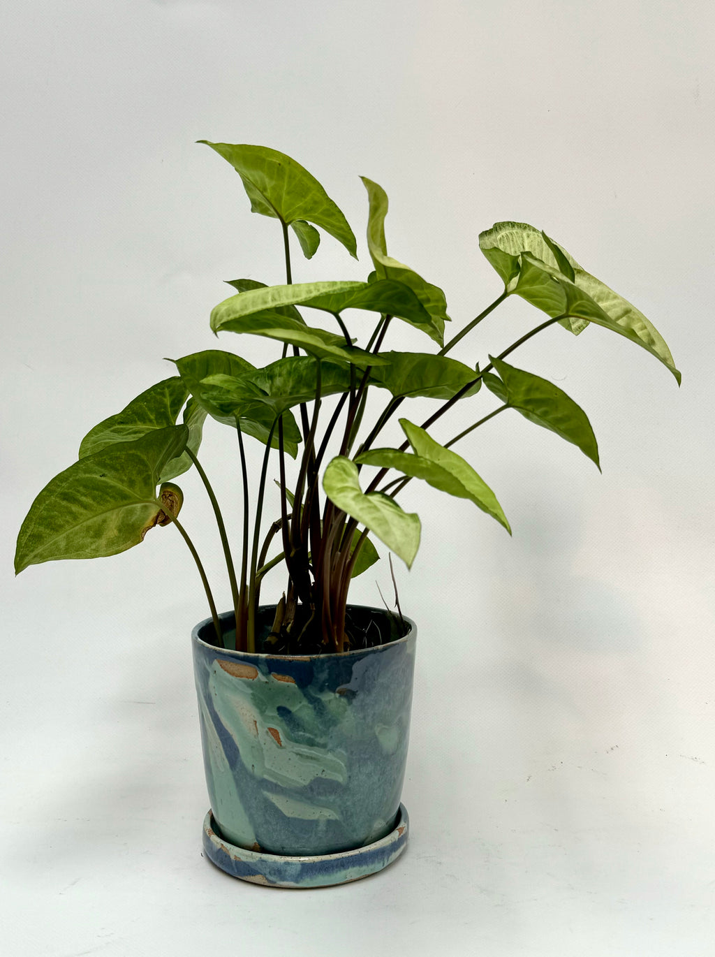 Ocean Small Planter