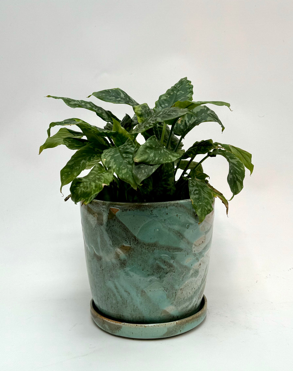 Forest green planter - medium