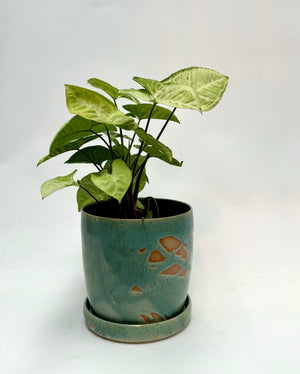 Green planter - medium