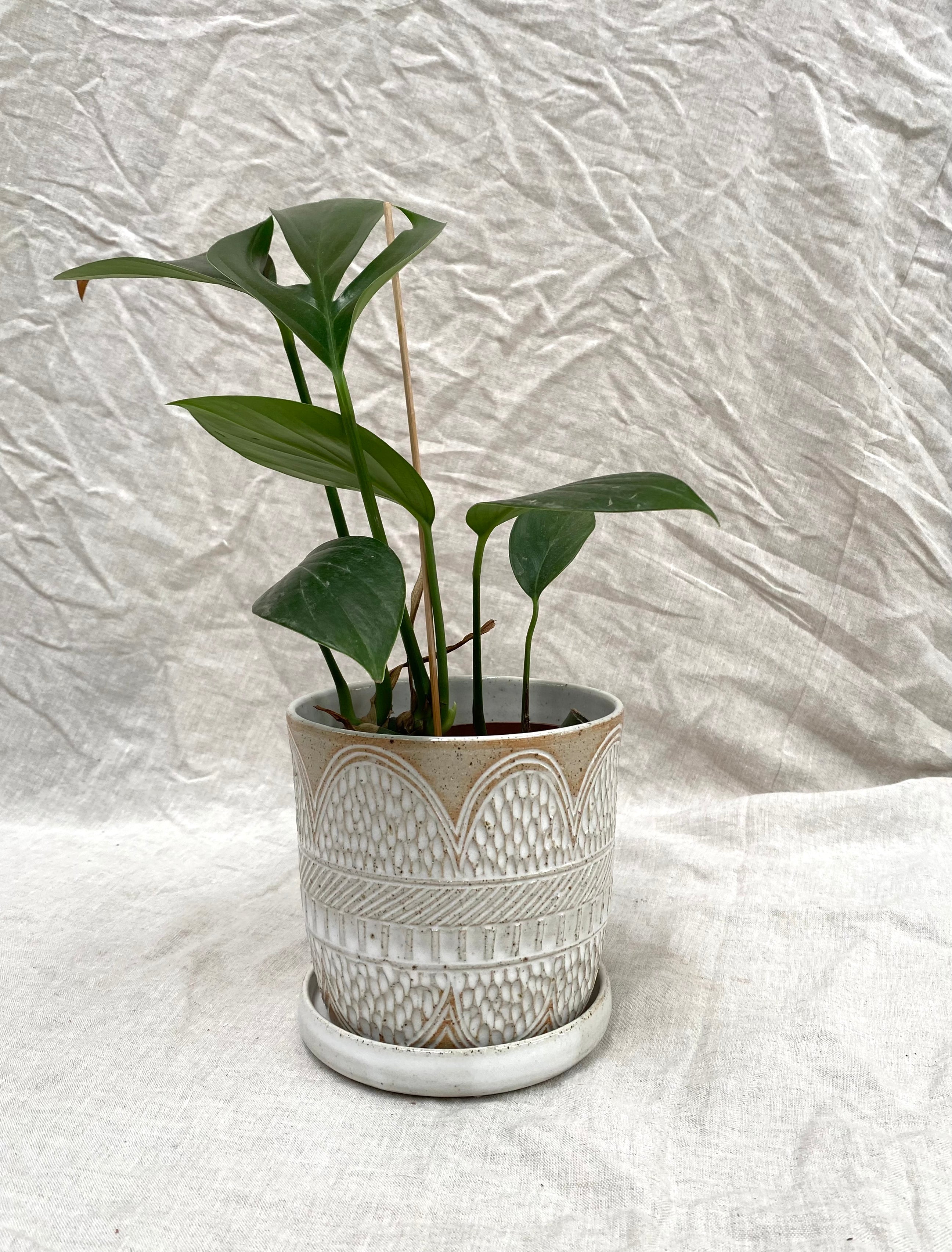 Textured small planter